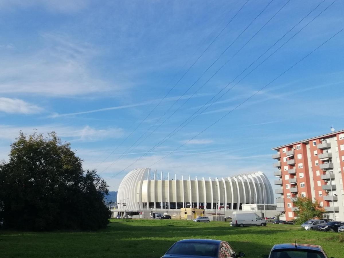 Oaza - Arena